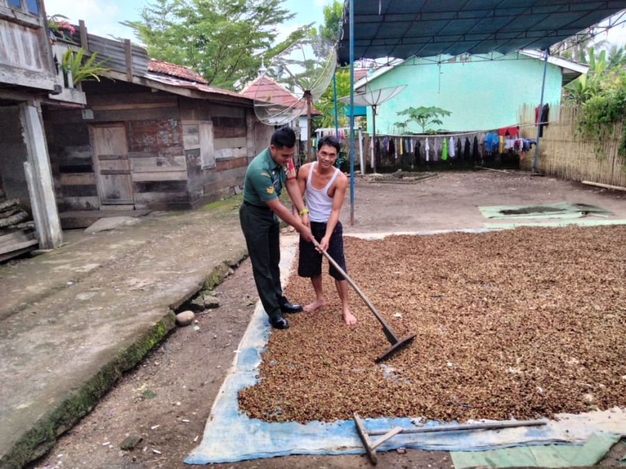 Babinsa Matas Koramil 404-05/ Tanjung Enim Kunjungi Warga dan Ikut Membantu Sistem Penjemuran Kopi