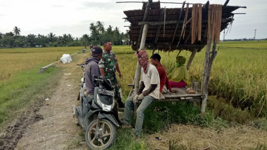 Babinsa Koramil 04 Peureulak Laksanakan Komsos di Gubuk Petani