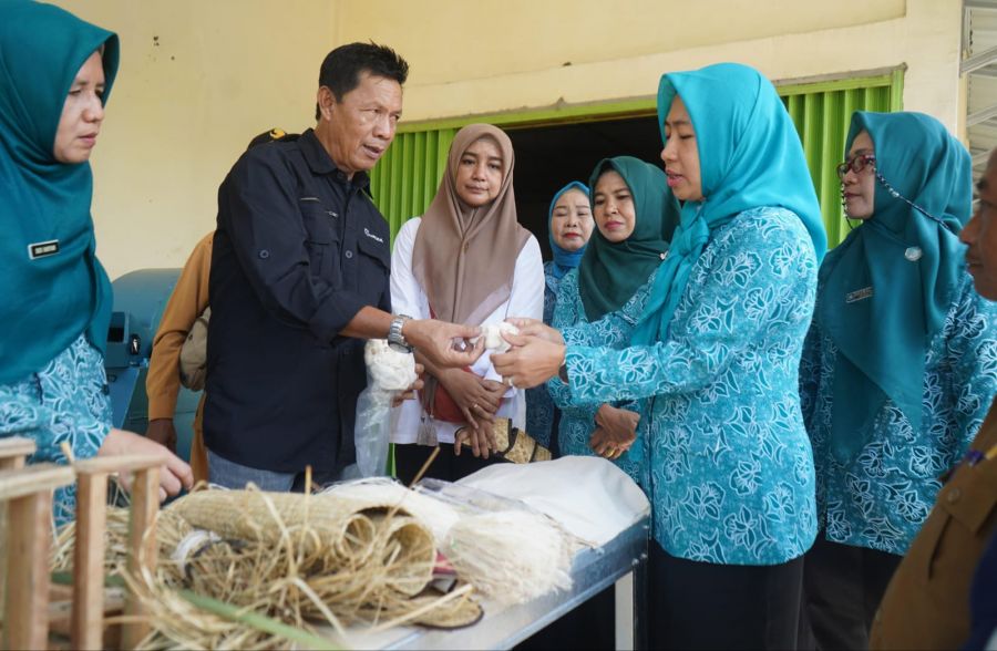 Balitbangda Diseminasi Pemanfaatan Limbah Daun Nanas di Kelekar