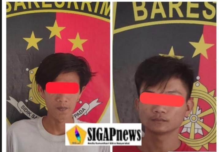 Gegara Curi Ayam Kampung, Kedua Pria Ini Ditangkap Polsek Sungai Rotan