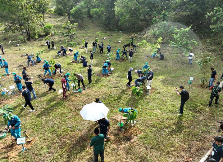 Green Mining, Bukit Asam (PTBA) Tanam Pohon Bersama di Lahan Bekas Tambang