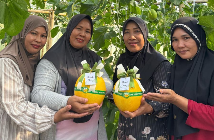 HBAP Toreh Prestasi Internasional Lewat Program Hijau Berbasis Agribisnis Pekarangan