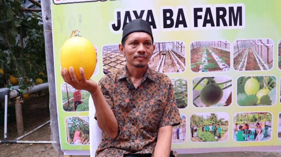Kelompok Pembibitan Eco Agrotomation Binaan Bukit Asam Panen Perdana Melon Premium