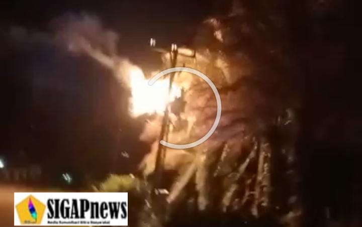 Konsleting Listrik Hingga Timbulkan Kobaran Api, Diduga Karena Pelepah Daun Sawit