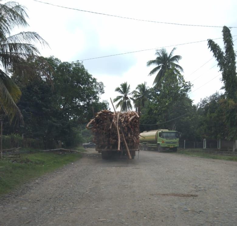 Membahayakan, Masyarakat Keluhkan Diduga Kurangnya Safety Angkutan Kayu PT MHP yang Berserakan