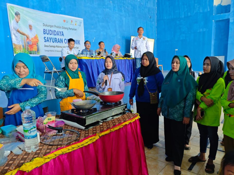Medco E&P Kembangkan Budidaya Sayuran Organik di Desa Sumaja Makmur dan Desa Bangun Sari