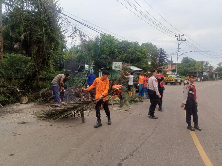 Membahayakan Pengguna Jalan, Personel Polres Muara Enim Bantu Tebang Pohon