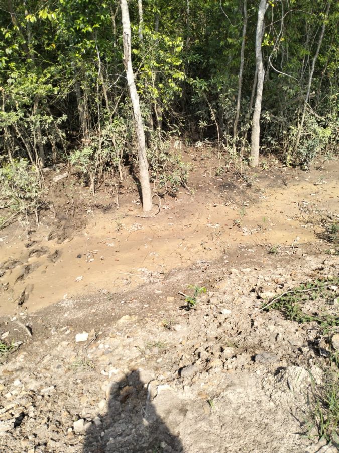 Pemdes Perjito Bersama Pemilik Lahan Tinjau Kembali yang Diduga Terdampak Lumpur dari PT TBBE