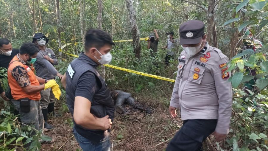 Penemuan Mayat Sudah Membusuk Dikebun Desa Perjito Gunung Megang