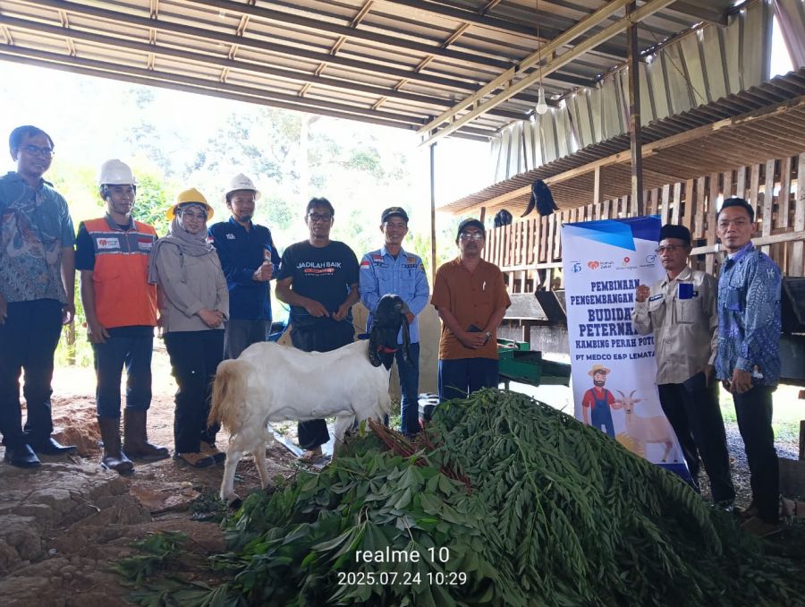 Kembangkan Usaha Budidaya Peternakan Kambing Perah Potong, Medco E&P Gelar Pembinaan di Bangun Sari