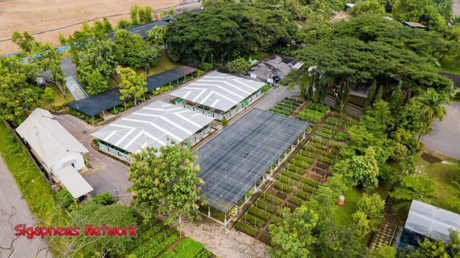 PT. Bukit Asam (PTBA) Menuju Perusahaan Energi Kelas Dunia yang Peduli Lingkungan