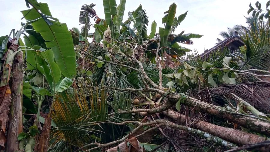 Sumaja Makmur Berduka Bencana Alam Puting Beliung
