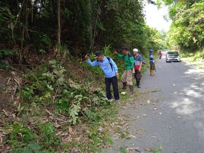 Kades Alim Iskandar dan Masyarakat  Desa Tambangan Kelekar Gotong Royong Tebas Bahu Jalan 