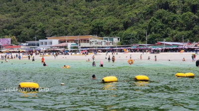Laut Thailand Mendadak Hijau, Plankton Ganggu Wisatawan
