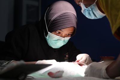 Polri Sterilisasi 34 Kucing, Tekan Populasi dan Cegah Rabies