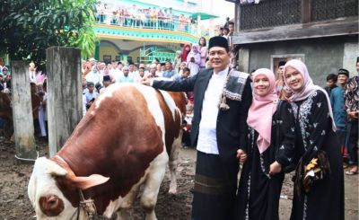 pulang-kampung-halaman-bupati-serahkan-hewan-qurban-presiden-ri-dan-pimpin-sholat-id
